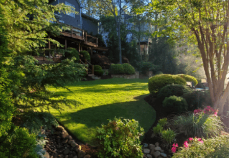 A backyard with trees and bushes in the background.