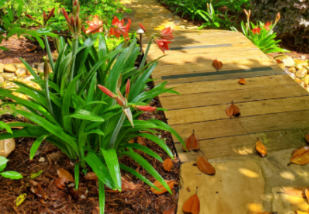 A wooden walkway with flowers and leaves on it.
