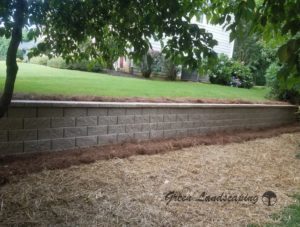A brick wall with grass growing on it