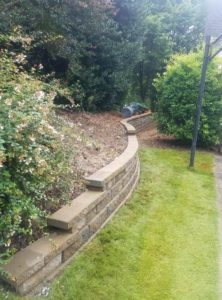 A garden with bushes and trees in the background.