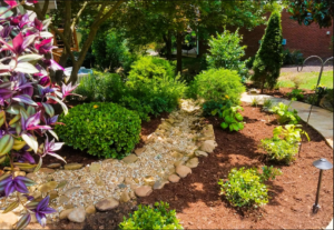 A garden with many plants and rocks