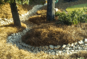 Rock lined dry creek bed around mulched trees
