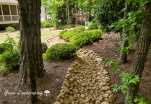 A garden with trees and bushes, and rocks in the ground.