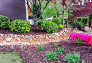 A garden with flowers and bushes in the background.
