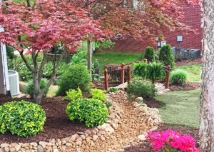 A garden with many trees and bushes