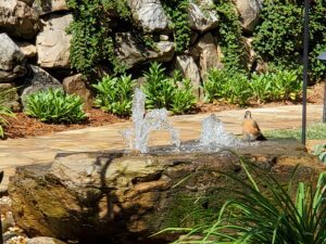 A fountain in the shape of an animal.
