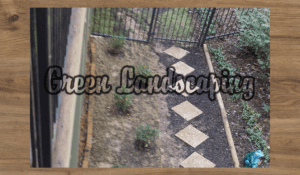 A picture of the back yard with grass and plants.