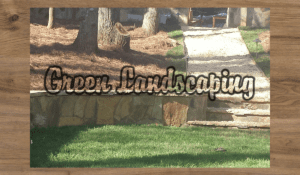 A picture of the front yard with grass and trees.