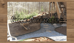 A dog is standing in the dirt near some trees.