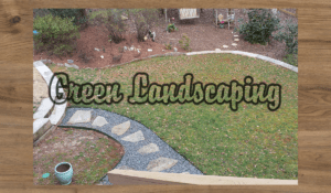 A picture of the back yard with grass and trees.