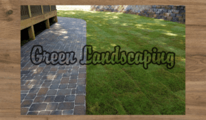 A brick walkway with grass growing on it.