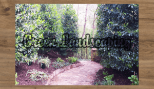 A garden path with trees and bushes in the background.