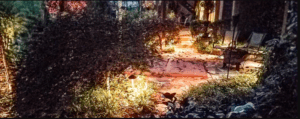 A blurry photo of the garden path.