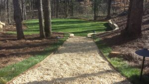 A path in the middle of a park with trees
