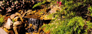 A waterfall with rocks and plants in the background.