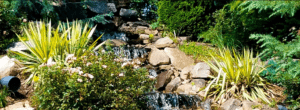 Sunlit rock cascade and lush garden plants
